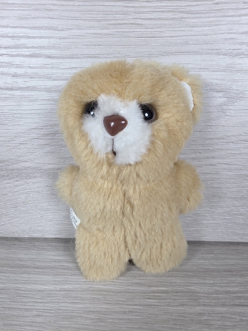 Papel Plush Bear Korea 6" Light Brown Tag Vintage Mini SU56